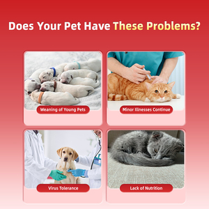 Gel Nutrizionale Personalizzato per Cani e Gatti, Supporto per la Salute del Sistema Immunitario Passivo, Produzione Diretta OEM ODM - Product Image 2