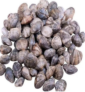 Hot bán giá tốt nhất chất lượng tốt đông lạnh ngắn cổ vỏ sò trên cổ ngắn Ngao - Product Image 1