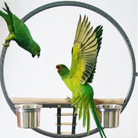 Cage d'élevage d'oiseaux confortable avec attrape-graines, volière en fer écologique, maison pour animaux à motif animal, plateau en plastique 80x58x170cm