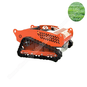 Tondeuse à gazon électrique neuve avec moteur 9.5HP et télécommande à usage domestique (portée de 680m) - Product Image 3