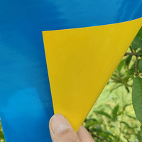 Gele stevige dubbelzijdige kleefplaat van plastic, klein, zwart, voor vliegen, fruitvliegen, wespen, thrips, boomgaarden, kassen