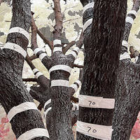 Arche de fleurs roses Sakura, arbres artificiels en plastique, adaptés pour les plafonds intérieurs, grand arbre artificiel en centre de table, arbre artificiel à fleurs de cerisier