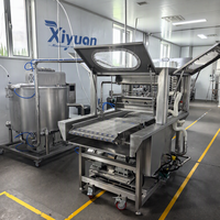 Machine d'enrobage au chocolat pour chips de bananes lyophilisées avec réservoir de maintien au chocolat, tunnel de refroidissement et ligne de traitement d'enrobage de fruits