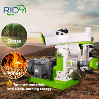 Máquina de Pellets de Biomasa RICHI Pakistán - Máquina de Fabricación de Pellets de Fuego de Pasto Napier con Matriz de Anillo
