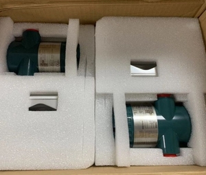 Sensor de Temperatura YOKOGAWA YTA610 YTA710 de Alta Precisión y Estabilidad con Estructura de Doble Cámara - Product Image 6