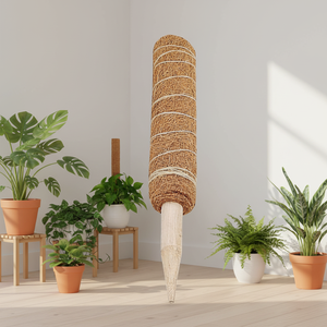 <span class=keywords><strong>Poste</strong></span> <span class=keywords><strong>de</strong></span> Trepado <span class=keywords><strong>para</strong></span> Plantas, Palma <span class=keywords><strong>de</strong></span> Coco Natural <span class=keywords><strong>de</strong></span> 30cm/40cm/50cm, Combinación y <span class=keywords><strong>Empalme</strong></span> Libres <span class=keywords><strong>para</strong></span> Jardinería en el Hogar - Product Image 6