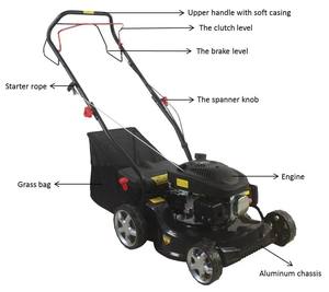 Greenworks — tondeuse à gazon auto-propulsive à essence, moteur à 4 temps 79.8cc, livraison gratuite - Product Image 2