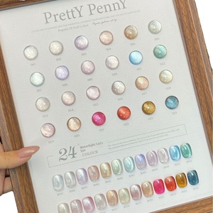 2025 nuevo Pretty Pennt24 24 esmalte de ojo de gato de vidrio de 24 colores suministros de <span class=keywords><strong>uñas</strong></span> de Gel resina dedicada para tienda de salón de <span class=keywords><strong>uñas</strong></span> botella magnética - Product Image 5