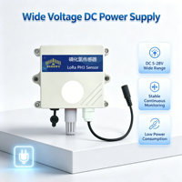 Détecteur de phosphine électrochimique sans fil LoRaWAN PH3 avec alarme sonore pour la sécurité industrielle (0-1000 ppm)