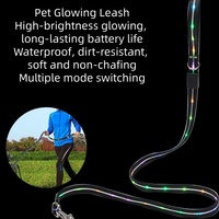 Accessoires pour animaux de compagnie, chien, chat, laisse lumineuse, RGB, luminescente, rechargeable par USB, laisse LED pour chien avec lumière pour la marche nocturne