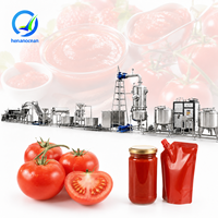 OCEAN Tomatenpureemachine Kleine Schaal Ketchupmachine Tomatenpasta Productielijn Prijs
