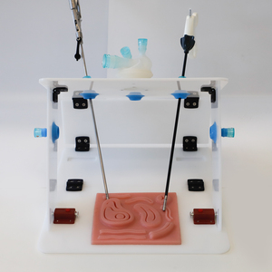 Sản Phẩm Mới Geyi Bán Chạy Nhất Mô Phỏng Nội Soi Hộp Huấn Luyện Y Tế Để Sử Dụng Nội Soi - Product Image 6