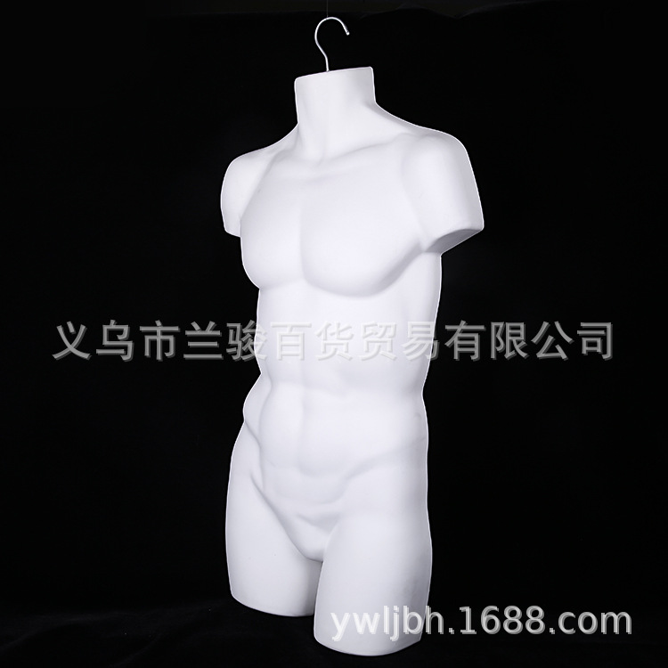 Version européenne de l'homme musclé blanc