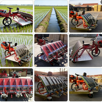 Machine à repiquer le riz agricole, 2/4/6/8 rangs, modèle manuel ou électrique autoporté
