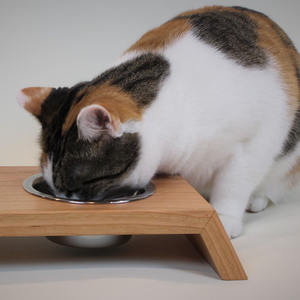 Commercio all'ingrosso in <span class=keywords><strong>legno</strong></span> massiccio Pet Food Stand in <span class=keywords><strong>legno</strong></span> elevato cane gatto ciotole supporto rialzato Rack Feeder Stand con <span class=keywords><strong>ciotola</strong></span> in acciaio inox - Product Image 4