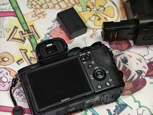 Cámara Digital de Fotografía Profesional Sony Alpha A7 II de <span class=keywords><strong>Segunda</strong></span> <span class=keywords><strong>Mano</strong></span>, 24.3MP, Full Frame - Product Image 2