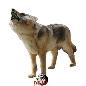 Simulation de loup, taille de la <span class=keywords><strong>vie</strong></span> modèle astronomique - Product Image 1