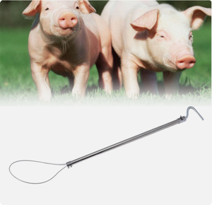 Trampa para Cerdos de Alta Resistencia, Restricción Segura y Humana para Manipulación, Procedimientos Veterinarios, Transporte o Sacrificio - Product Image 1