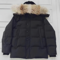 Veste parka en duvet d'oie pour homme, style classique, avec logo personnalisé, imperméable, grande taille, pour l'hiver, vente en gros