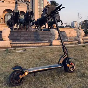 Best Verkopende Artikelen Breedwiel Elektrische Scooter Tweezits Scootmobiel Technologie Uitvindingen 2023 Met Service En Lage Prijs