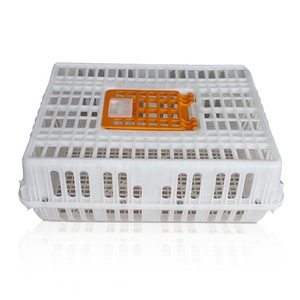 Cường độ cao PP hộ gia đình nhựa Trứng Thùng Khuôn Rau Thùng Nhà cung cấp 'sự lựa chọn - Product Image 6