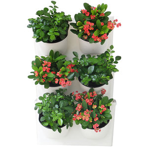 Pieno elettronico automatico di irrigazione doppia fila Mini pianta - Product Image 3