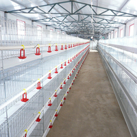 Poulailler de poulet automatique de Type H, équipement agricole de volaille, vente en gros