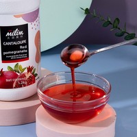 Taihu Meilin Citroensapconcentraat Melkthee Shop Special Granaatappel Instant Drank Fruitsap Munt 1,2kg Geflesseerd