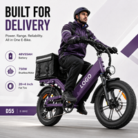 D55 Elektrikli Kargo Bisikleti 20 inç Şişman Lastik 48V 750W Fırçasız Motor Alüminyum Gövde Entegre Bataryalı Teslimat E-Bisikleti