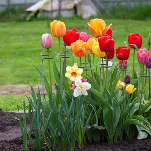 Support <span class=keywords><strong>de</strong></span> plante à tige unique pour <span class=keywords><strong>jardin</strong></span>, anneau <span class=keywords><strong>de</strong></span> soutien pour orchidée, pivoine, lys, rose, piquets <span class=keywords><strong>de</strong></span> soutien pour plantes, vente chaude - Product Image 6