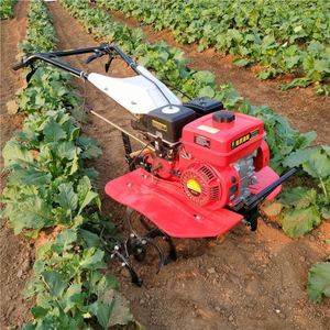 Handheld Two-wheel Drive Micro Tillage Machine Multi-function <b>Cultivators</b> Agricultural Gasoline Engine-Powered High - Product Image 5