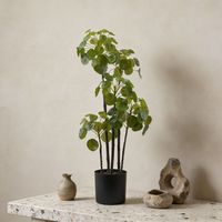 Plantes artificielles Pilea Bonsai de 66 cm de haute qualité, réalistes, pour la décoration de table à la maison, vente en gros