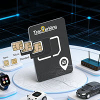 Tarjeta SIM para Rastreador GPS, 30MB por Mes, Compatible con Más de 100 Países en Todo el Mundo, Paneles de Gestión de Análisis en Tiempo Real