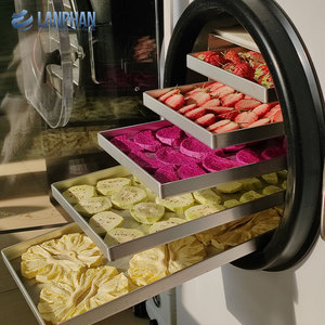 Machine de lyophilisation compacte pour fruits, légumes et viandes de 4 kg et 6 kg avec contrôle numérique - Product Image 2