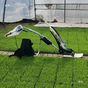 1 fila di tipo a piedi motore a benzina risaia trapiantatore seminatrici & trapiantatori per la vendita - Product Image 3