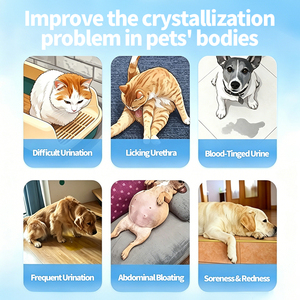 Suplemento Natural a Base de Hierbas <span class=keywords><strong>para</strong></span> el Tracto Urinario de Perros y Gatos, Fórmula TCM <span class=keywords><strong>para</strong></span> Disolver Cálculos con Lysimachia - Product Image 2