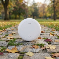 Riwayat Penjelajahan dalam 3 Bulan Terakhir Produk Komunikasi & Jaringan Lainnya Home Assistant Green Hub Wearable Rastreador Gps