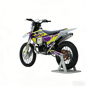 Motocicleta Enduro <span class=keywords><strong>de</strong></span> 4 <span class=keywords><strong>Tiempos</strong></span>, 300cc, Todoterreno, para Adultos, <span class=keywords><strong>de</strong></span> Fábrica - Product Image 5