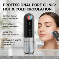 Appareil professionnel d'hydrothérapie faciale, nettoyeur de pores, aspirateur pour points noirs avec fonction chaud et froid pour salon de beauté et usage domestique