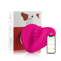 Unsichtbare App tragbare Fernbedienung Private Anti-Rutsch-Ei Silikon weibliche Erwachsene masturbieren Vibrator Sexspielzeug für Frau