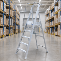 Plateforme en aluminium pliable avec main courante de sécurité, échelle à 5 marches pour la construction industrielle et l'utilisation en escalier, certifiée CE