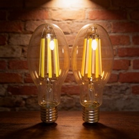 Ampoule LED à filament en verre ED90 30W 50W Culot E40 E39 pour éclairage public