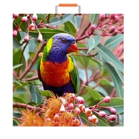 Écran LED 320*160mm, panneau LED couleur HD, mur vidéo avec animation pour magasins de détail et ascenseurs
