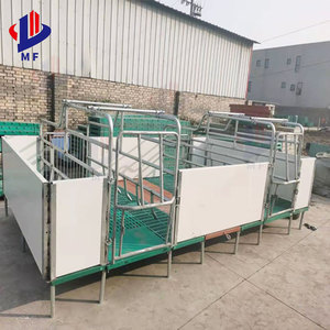 Nuovo tipo gabbia animale per l'allevamento suino e piantina prodotto di alta qualità - Product Image 3