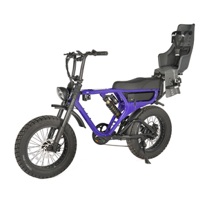 Bicicleta de Montaña de Alto Rendimiento 2025 con Suspensión Completa, 20 Pulgadas, 1000W, Neumáticos Anchos, Bicicleta Eléctrica para Adultos G01, Bicicleta de Montaña G01, G01 Eléctrica - Product Image 4