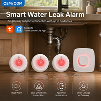 Kit Détecteur de Fuite d'Eau Intelligent WiFi, Hub Passerelle Sans Fil, Alarme à Distance via l'Application Tuya, Système de Capteur d'Inondation en Matériau ABS pour la Sécurité Domestique