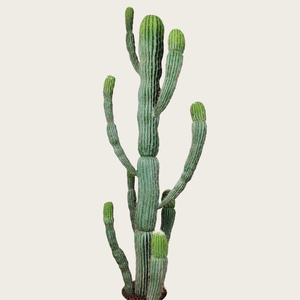 <span class=keywords><strong>Cactus</strong></span> de Columna de Dragón <span class=keywords><strong>Artificial</strong></span> Premium de Múltiples Cabezas para Merchandising Visual Comercial y Decoración de Oficina/Hogar/Hotel/Scenarios de Banquetes - Product Image 3