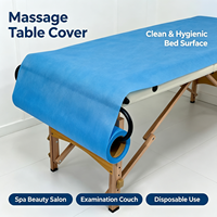 Drap de lit jetable perforé en rouleau, en papier PE, bleu et blanc, imperméable, pour les soins de beauté et les massages