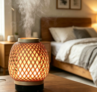 Diffuseur d'huiles essentielles, diffuseur d'arômes pour hôtel, spa, salle de yoga - Humidificateurs pour chambre à coucher, lumière pour enfants/femmes, relaxation à domicile