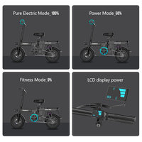 Vélo Cyclomoteur Électrique 2 Roues Pas Cher 250W 48V avec Assistance Pédale, Entrepôt UE US